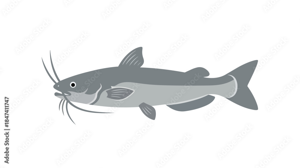 Obraz premium Illustrative depiction of a freshwater catfish swimming gracefully, showcasing its distinctive barbels and sleek body, an aquatic creature icon