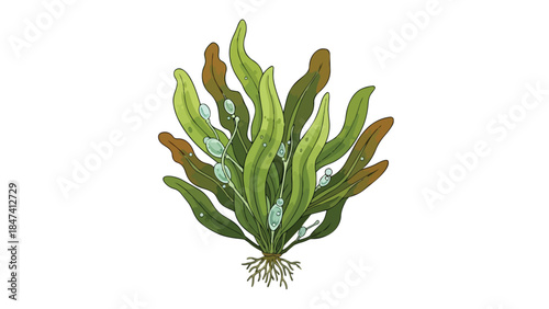 Stylized illustration of lush aquatic flora with vibrant green and brown foliage and delicate blue reproductive structures
