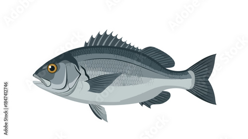 Stylized aquatic creature illustration showcasing intricate fin and scale details