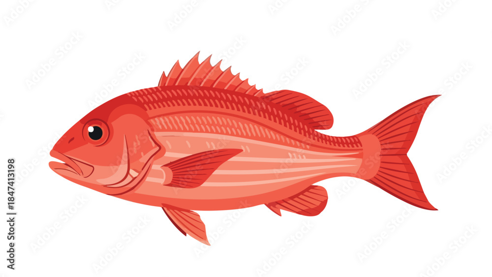 Fototapeta premium Vibrant red ocean fish swimming left a beautiful marine animal illustration perfect for various aquatic themed designs and educational content