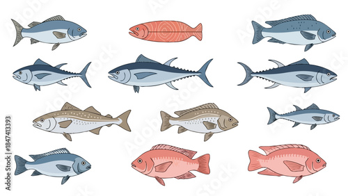A vibrant collection of stylized fish illustrations, showcasing diverse aquatic species in a hand-drawn graphic style, ideal for educational biology