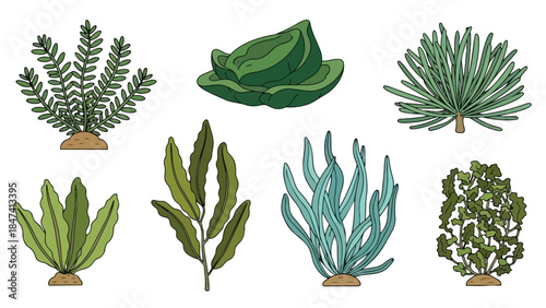 Stylized plant collection showcasing diverse aquatic and terrestrial forms, rendered in a clean, graphic illustration style perfect for
