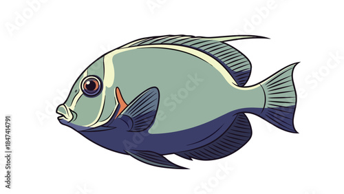 Vividly colored marine fish art for ocean-themed designs and aquatic themes