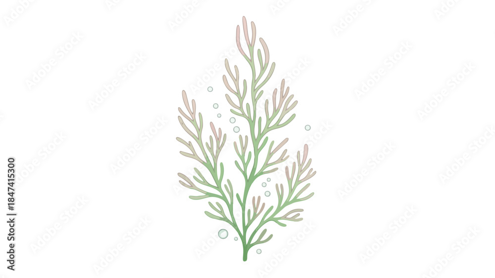 Fototapeta premium Elegant watercolor illustration of delicate seaweed with small bubbles, evoking an underwater serene atmosphere for design