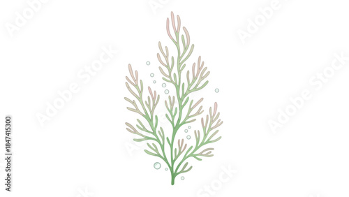 Elegant watercolor illustration of delicate seaweed with small bubbles, evoking an underwater serene atmosphere for design
