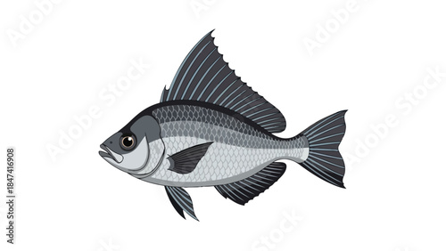 Stylized aquatic creature with prominent dorsal fins and patterned scales captured against a pure white backdrop