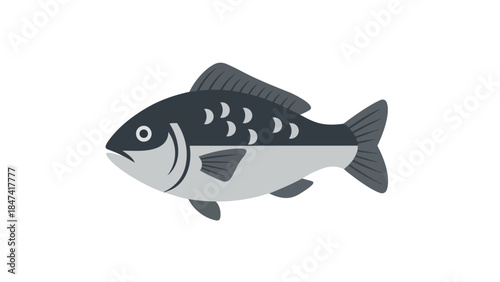 Stylized aquatic creature with dark upper body and light underbelly on a white background minimal 50 characters, maximum 100 characters, make the
