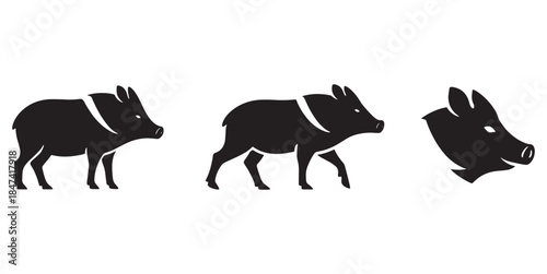 Javelina Silhouette Set – Peccary Standing, Walking and Head Icon