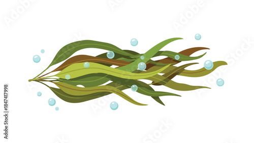 Floating underwater kelp fronds with shimmering bubbles symbolizing oceanic life and aquatic flora