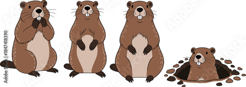 Cute groundhog character set with marmot standing in different poses and peeking out of a hole for Groundhog Day spring celebration.