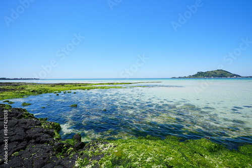 Quadro em tela fascinating seascape with mossy rocks and far island
