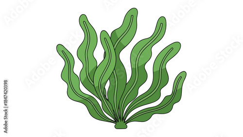 Stylized depiction of vibrant green kelp swaying gently in an underwater current with subtle shading and clean lines against a pure white background