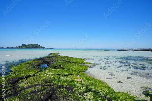 Fotografia fascinating seascape with mossy rocks and far island