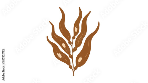 Stylized illustration of kelp, a brown marine plant with flowing fronds and distinct oval shapes along its stem, perfect for aquatic themes and