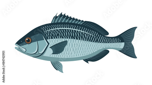 Stylized marine creature illustration with intricate scale patterns and distinct fins