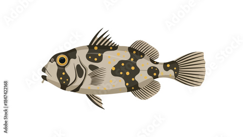 Illustrative Depiction of a Spotted Reef Dwelling Marine Fish with Distinctive Markings