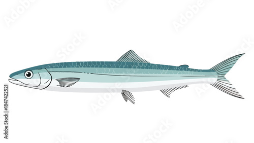 Stylized Illustration of a Sleek, Long-Bodied Marine Fish with Blue and Teal Hues Against a White Background