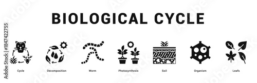 Biological Cycle Modern and clean web banner illustration featuring thematic icons for visual communication