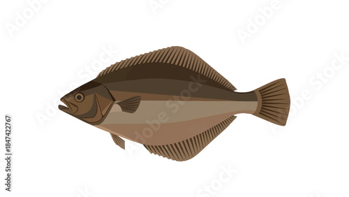 Stylized flatfish aquatic creature illustration with detailed fins and earthy brown tones