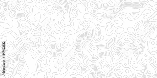Minimal spiral wire frame topology contour map relief grid map. vector white topography map area landscape discovery texture design.