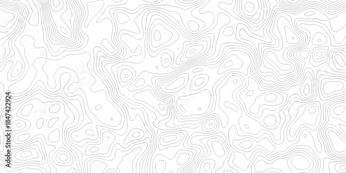 Minimal spiral wire frame topology contour map relief grid map. vector white topography map area landscape discovery texture design.