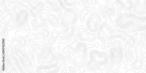 Minimal spiral wire frame topology contour map relief grid map. vector white topography map area landscape discovery texture design.