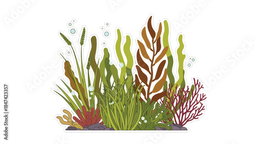 Vibrant underwater aquatic plant illustration featuring diverse marine flora in various shades of green and brown with delicate bubbles floating