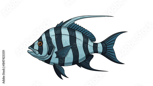 Illustration of a striking black and blue striped marine fish with fins outstretched against a white background
