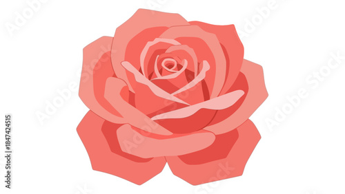 Minimalist Digital Illustration of a Soft Pink Rose Bloom Showing Detailed Petal Arrangement