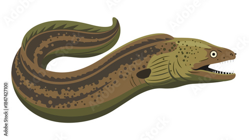 Vibrant marine predator illustration showcasing a moray eel with distinctive patterns and sharp teeth