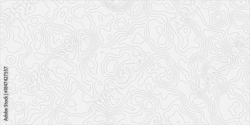 Nature’s Blueprint Artistic Background
Detailed Vintage Topography Contour Lines with Stylized Elevation