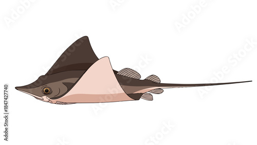 An exquisite visual portrayal of a distinctive marine ray with a gracefully elongated tail, perfectly adapted for aquatic life. This engaging
