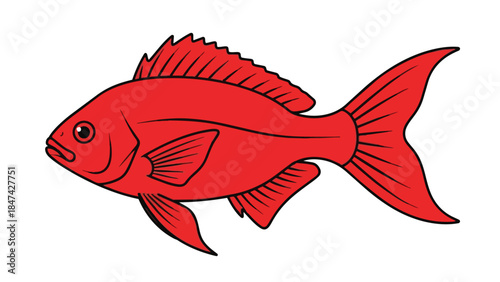 Vivid crimson fish illustration a striking underwater creature design showcasing aquatic elegance and simplicity an engaging graphic element for