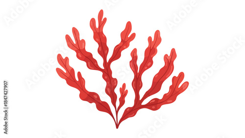 Vibrant red marine algae illustration showcasing essential underwater plant life, a captivating artistic depiction of ocean ecosystems and aquatic