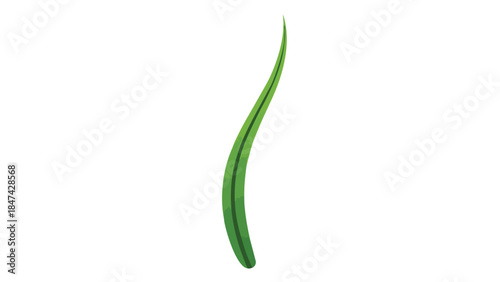 Vibrant solitary green blade illustrating natural elegance and organic simplicity for modern design projects and eco-friendly themes a fresh