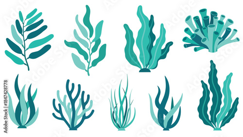 Collection of stylized aquatic flora and fauna in various shades of teal and blue mimicking ocean plant life and underwater scenery