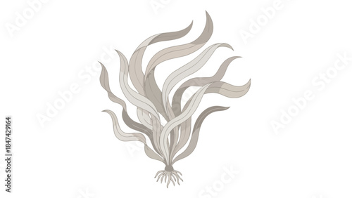 Stylized Monochrome Aquatic Plant with Root System on White Background Elegant Seaweed Design Element