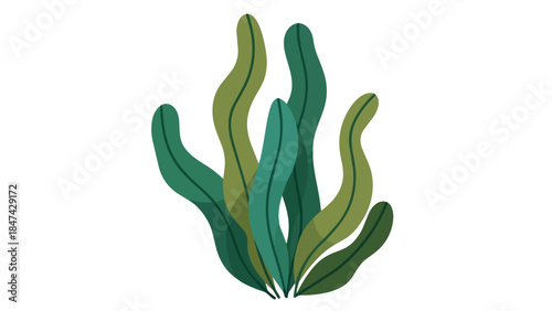 Stylized vector illustration of flowing aquatic plants in shades of green and teal against a clean white background
