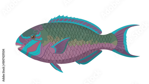 Vibrant Parrotfish Illustration Captures the Rich Colors of Marine Life in a Striking Graphic Style