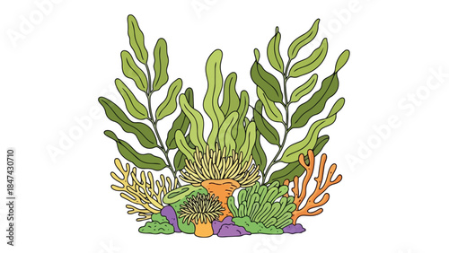 Vibrant underwater botanical illustration showcasing diverse coral reef flora and sea anemones in a simplified artistic style