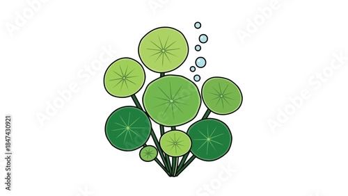 A minimalist illustration of vibrant green aquatic plants with delicate bubbles rising in a serene underwater scene