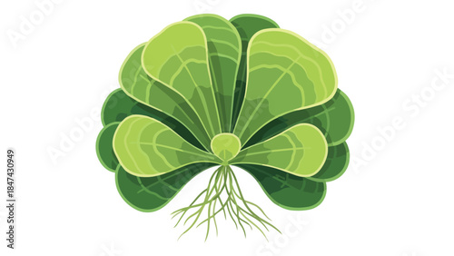 An Abstract Artistic Representation of a Vibrant Green Water Plant with Visible Root Structures