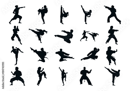 Martial Arts Silhouette Vector Element
