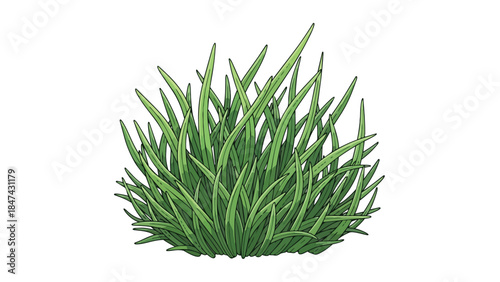 Vibrant illustration of lush green grass blades bursting forth in a dense clump against a clean white background