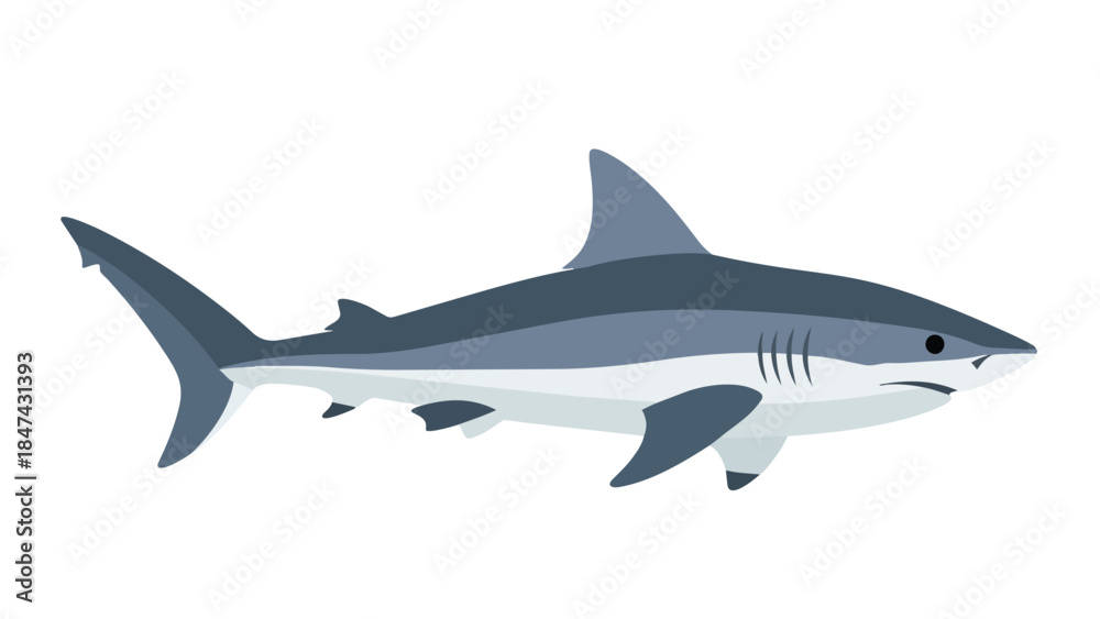 Fototapeta premium Stylized illustration of a powerful predatory shark depicted in a sleek, modern artistic style against a clean white backdrop