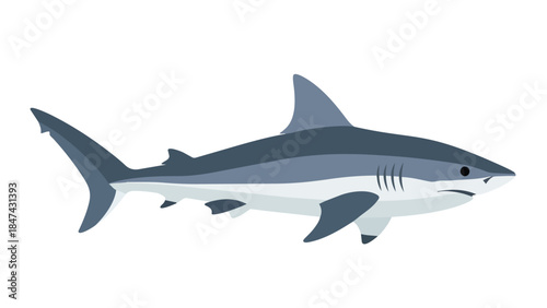 Stylized illustration of a powerful predatory shark depicted in a sleek, modern artistic style against a clean white backdrop