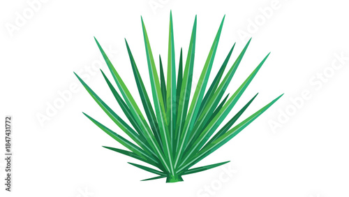 Vibrant Green Agave Plant Illustration with Sharp, Pointed Leaves on a Clean White Background