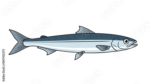 Illustration of a sleek, silver-blue fish with sharp fins and a forked tail against a plain white background