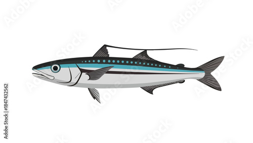 Sleek, Striped Pelagic Fish Illustration on a Clean White Background