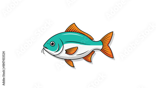 Vibrant Aquatic Dweller with Teal and Orange Fins Displayed Against a Clean White Background